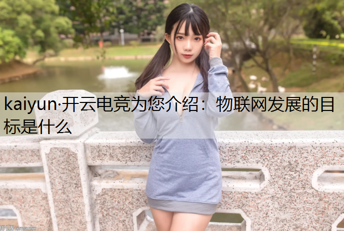 物联网发展的目标是什么
