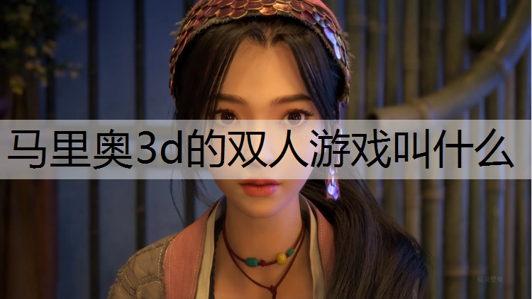 马里奥3d的双人游戏叫什么