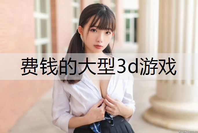 费钱的大型3d游戏